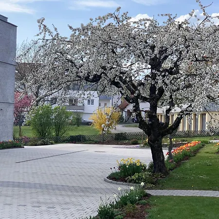 Trilogie Am - Ranke דירה שטטן